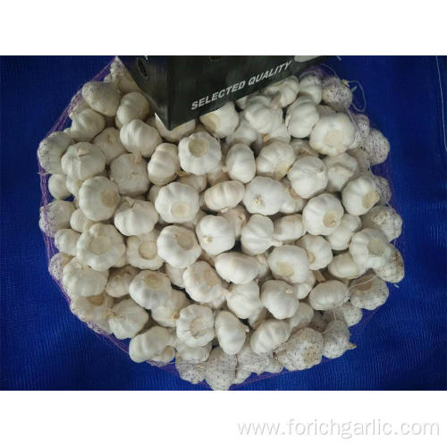New Crop Fresh Pure White Garlic